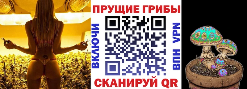МЕГА ONION  darknet как зайти  Краснокаменск  Галлюциногенные грибы Psilocybe  купить закладку 